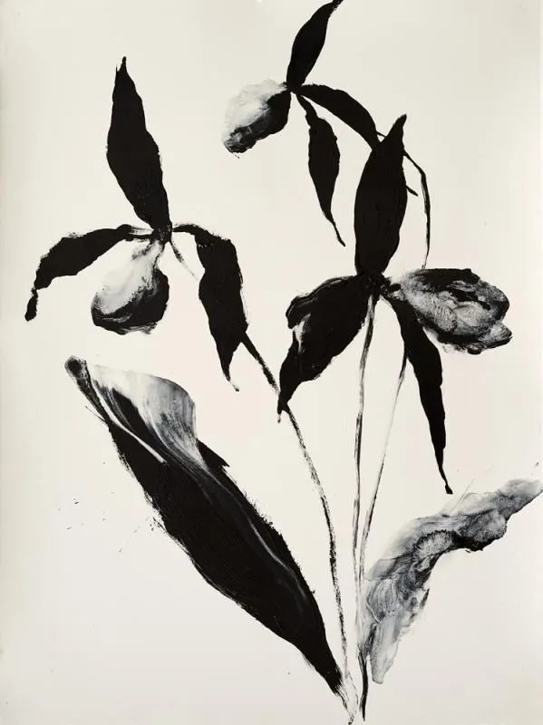 Orchids in black ink