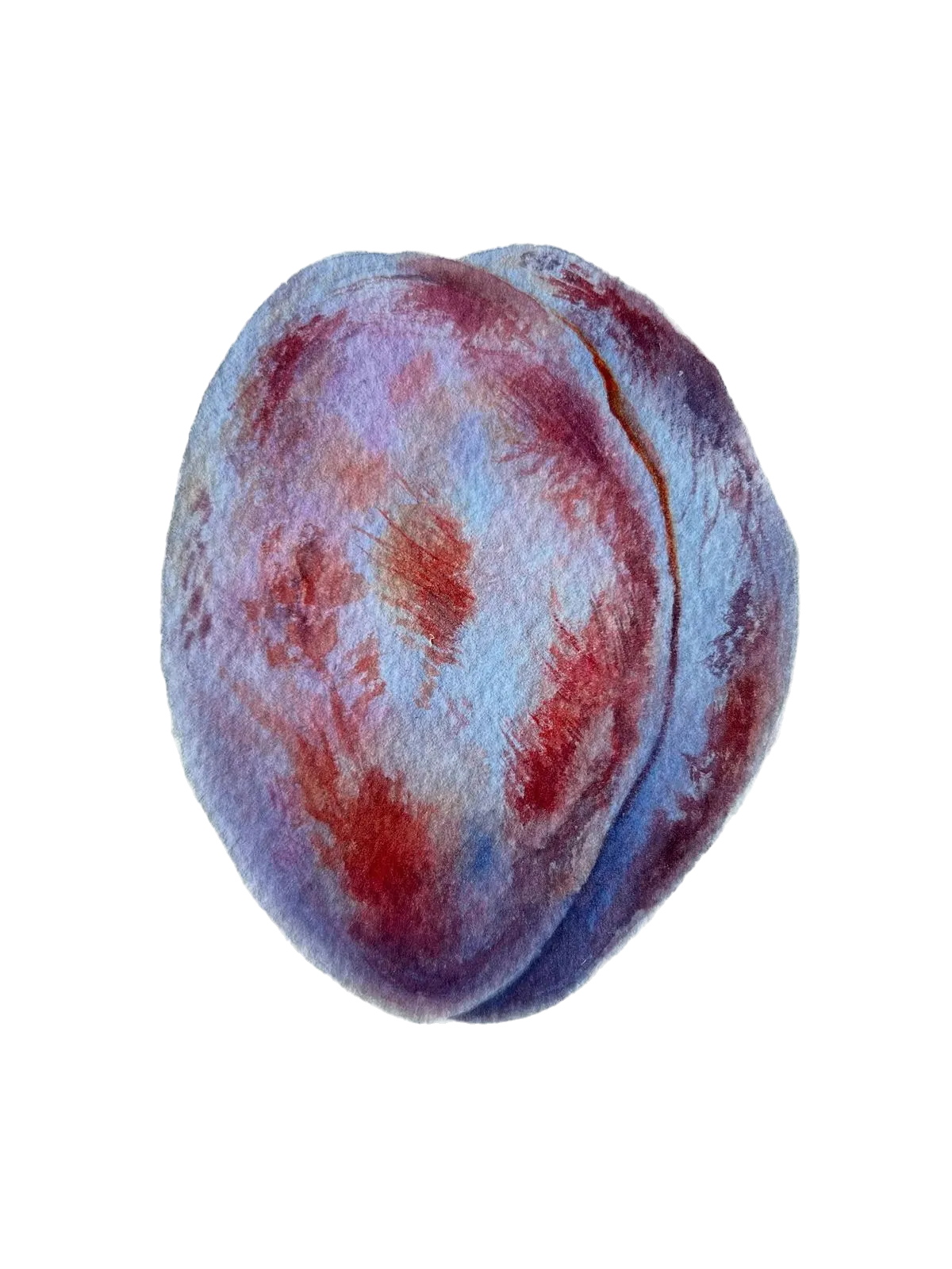 Painted plum